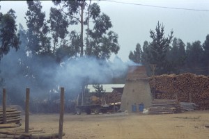 0136 cestou k Pacifiku - milíř.jpg